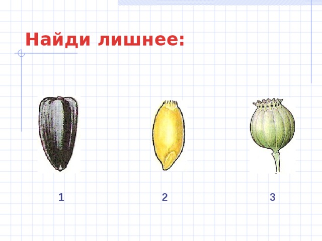 Найди лишнее: 1 2 3 