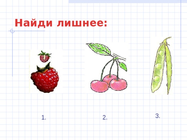 Найди лишнее: 3. 1. 2. 
