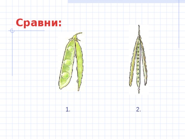 Сравни: 1. 2. 