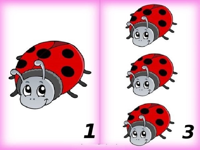 1 3 