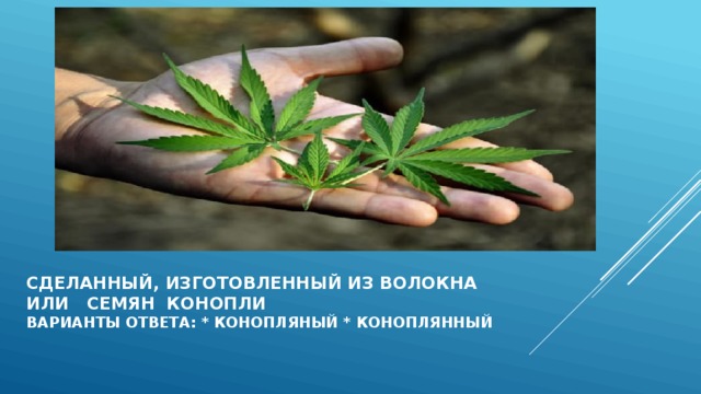 Сделанный, изготовленный из волокна  или семян конопли  варианты ответа: * конопляный * коноплянный  