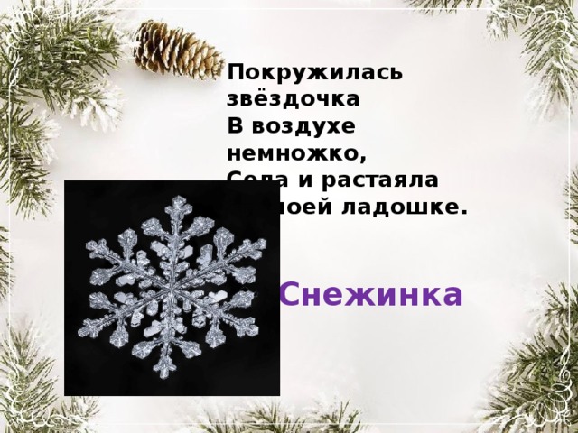 Покружилась звёздочка В воздухе немножко, Села и растаяла На моей ладошке. Снежинка 
