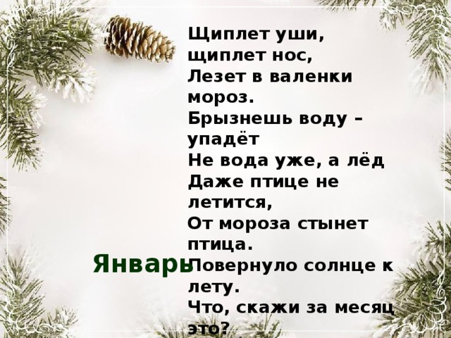 Щиплет уши, щиплет нос, Лезет в валенки мороз. Брызнешь воду – упадёт Не вода уже, а лёд Даже птице не летится, От мороза стынет птица. Повернуло солнце к лету. Что, скажи за месяц это? Январь 