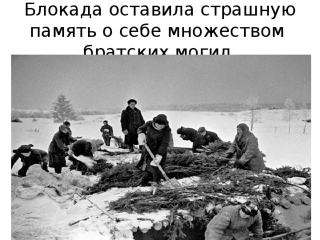 Блокада оставила страшную память о себе множеством братских могил. 
