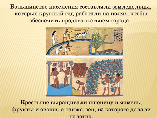  Большинство населения составляли земледельцы , которые круглый год работали на полях, чтобы обеспечить продовольствием города.  Крестьяне выращивали пшеницу и ячмень, фрукты и овощи, а также лен, из которого делали полотно. 