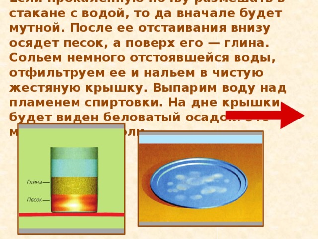 Если прокаленную почву размешать в стакане с водой, то да вначале будет мутной. После ее отстаивания внизу осядет песок, а поверх его — глина. Сольем немного отстоявшейся воды, отфильтруем ее и нальем в чистую жестяную крышку. Выпарим воду над пламенем спиртовки. На дне крышки будет виден беловатый осадок. Это минеральные соли. 