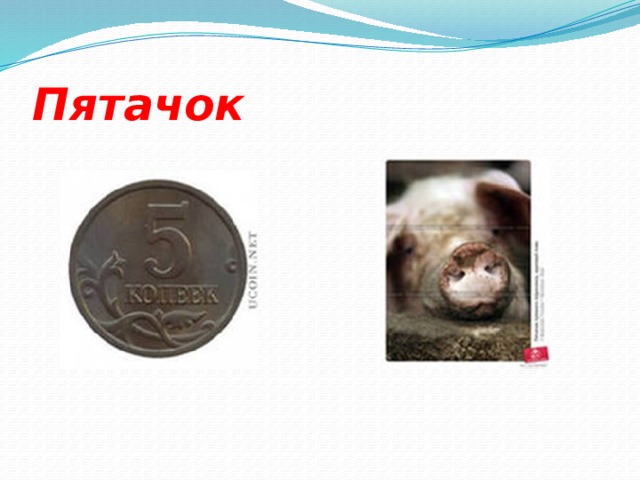 Пятачок 