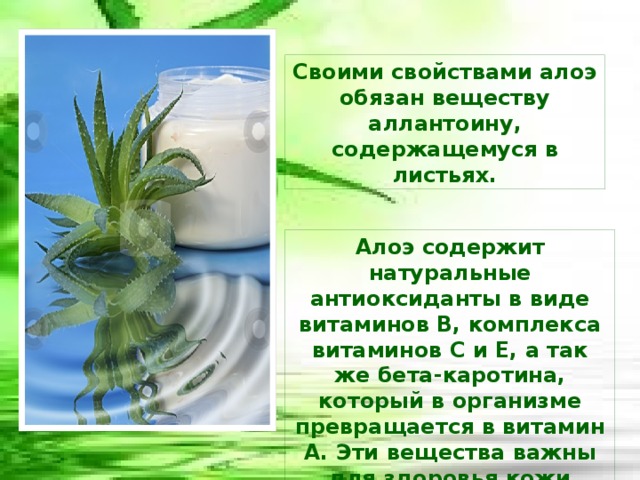 Своими свойствами алоэ обязан веществу аллантоину, содержащемуся в листьях. Алоэ содержит натуральные антиоксиданты в виде витаминов В, комплекса витаминов С и Е, а так же бета-каротина, который в организме превращается в витамин А. Эти вещества важны для здоровья кожи 