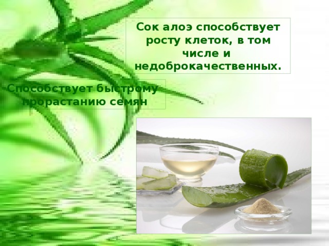 Сок алоэ способствует росту клеток, в том числе и недоброкачественных. Способствует быстрому прорастанию семян 