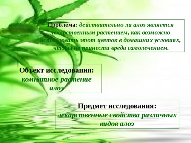Проблема : действительно ли алоэ является лекарственным растением, как возможно использовать этот цветок в домашних условиях, чтобы не принести вреда самолечением. Объект исследования:  комнатное растение алоэ Предмет исследования: лекарственные свойства различных видов алоэ 
