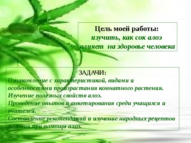 Цель моей работы: изучить, как сок алоэ влияет на здоровье человека ЗАДАЧИ: Ознакомление с характеристикой, видами и особенностями произрастания комнатного растения. Изучение полезных свойств алоэ. Проведение опытов и анкетирования среди учащихся и учителей. Составление рекомендаций и изучение народных рецептов лечения при помощи алоэ. 