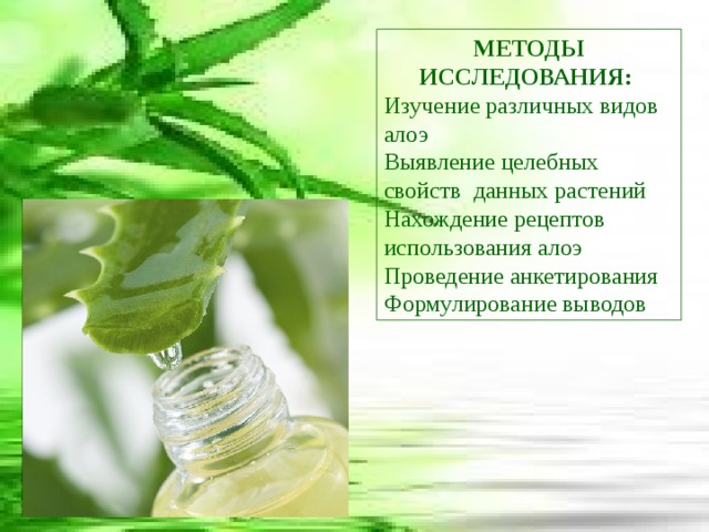 МЕТОДЫ ИССЛЕДОВАНИЯ: Изучение различных видов алоэ Выявление целебных свойств данных растений Нахождение рецептов использования алоэ Проведение анкетирования Формулирование выводов 
