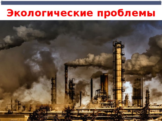 Экологические проблемы  