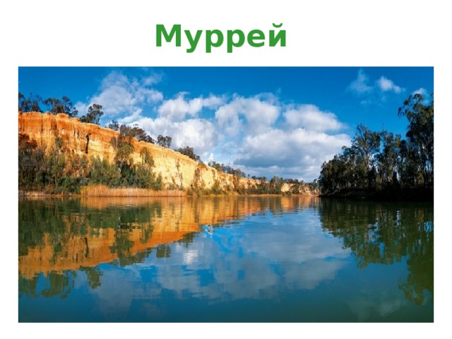 Муррей 