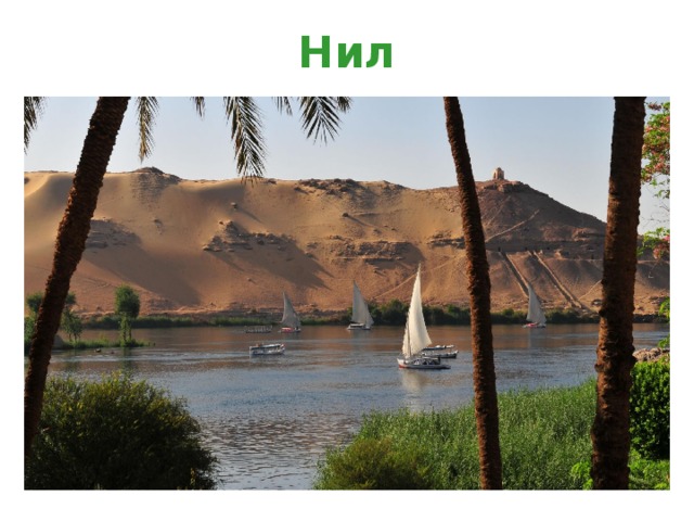 Нил 