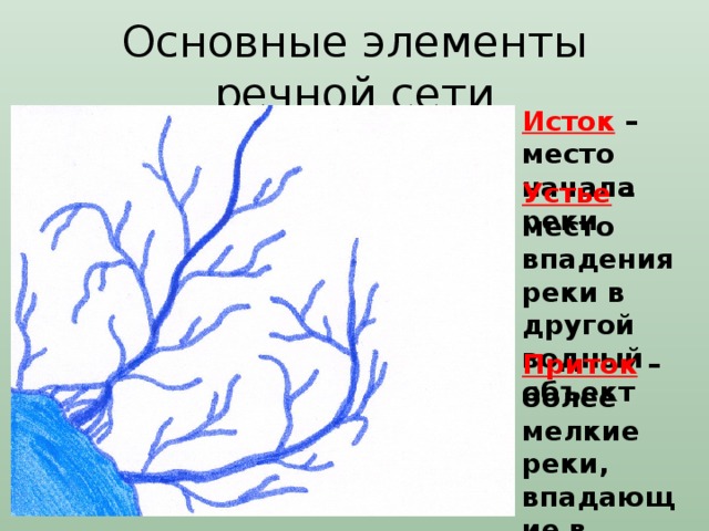 Основные элементы речной сети Исток – место начала реки Устье – место впадения реки в другой водный объект Приток – более мелкие реки, впадающие в главную 