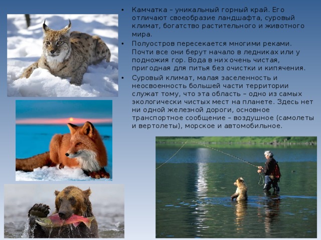 Камчатка – уникальный горный край. Его отличают своеобразие ландшафта, суровый климат, богатство растительного и животного мира. Полуостров пересекается многими реками. Почти все они берут начало в ледниках или у подножия гор. Вода в них очень чистая, пригодная для питья без очистки и кипячения. Суровый климат, малая заселенность и неосвоенность большей части территории служат тому, что эта область – одно из самых экологически чистых мест на планете. Здесь нет ни одной железной дороги, основное транспортное сообщение – воздушное (самолеты и вертолеты), морское и автомобильное. 
