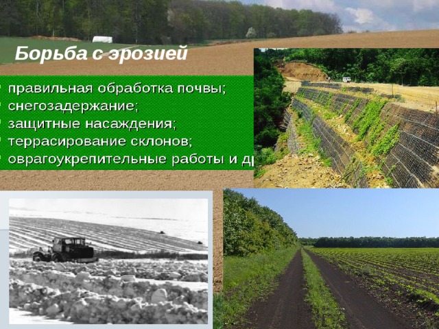 Борьба с эрозией 
