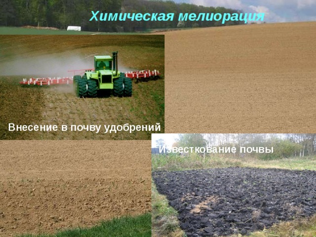 Химическая мелиорация Внесение в почву удобрений Известкование почвы 