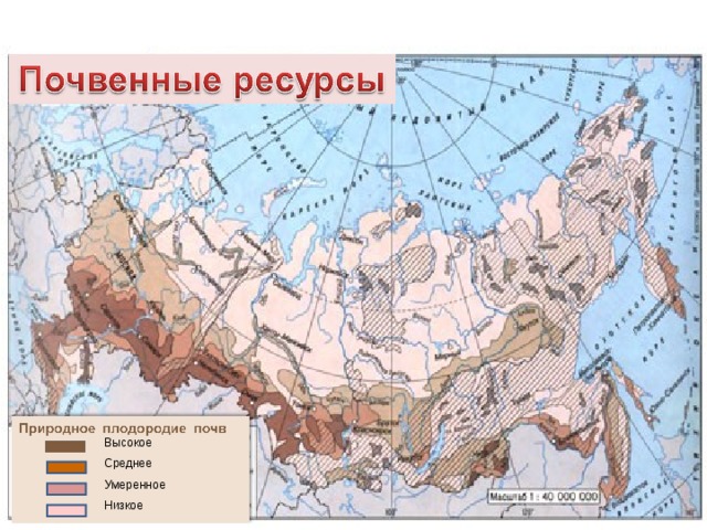 Высокое Среднее Умеренное Низкое 