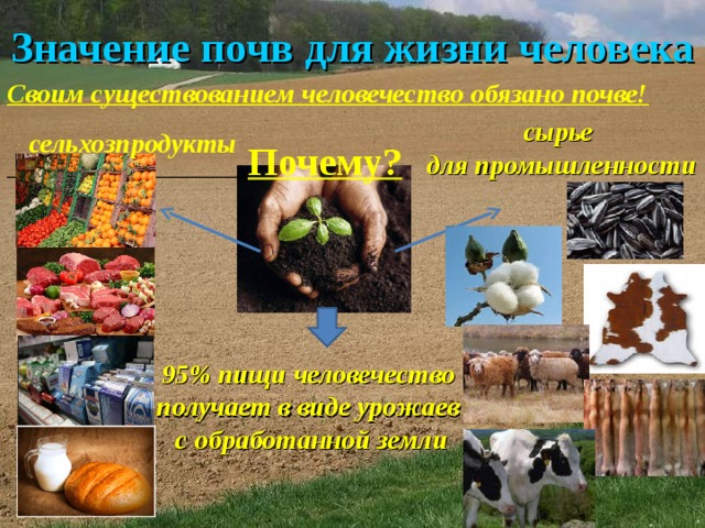 Значение почв для жизни человека Своим существованием человечество обязано почве!   Почему? сырье для промышленности сельхозпродукты 95% пищи человечество получает в виде урожаев с обработанной земли 