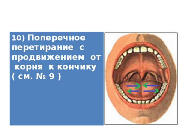 10) Поперечное перетирание с продвижением от корня к кончику ( см. № 9 )   