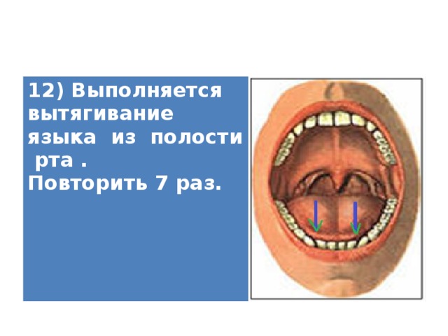 12) Выполняется вытягивание языка из полости рта . Повторить 7 раз.   