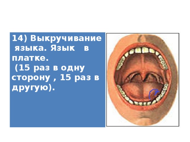 14) Выкручивание языка. Язык в платке.   (15 раз в одну сторону , 15 раз в другую).   
