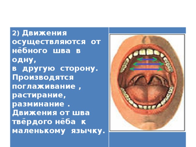 2) Движения осуществляются от нёбного шва в одну, в другую сторону. Производятся поглаживание , растирание, разминание . Движения от шва твёрдого нёба к маленькому язычку.    