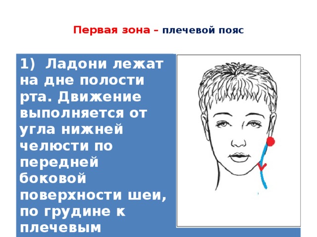  Первая зона – плечевой пояс   1) Ладони лежат на дне полости рта. Движение выполняется от угла нижней челюсти по передней боковой поверхности шеи, по грудине к плечевым суставам  (7 поглаживаний)   