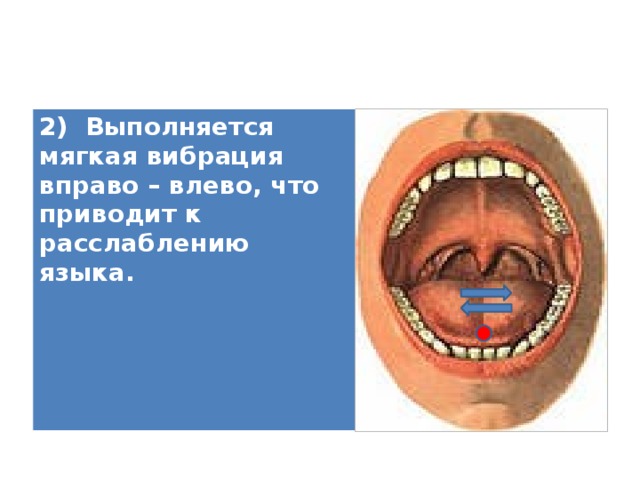 2) Выполняется мягкая вибрация вправо – влево, что приводит к расслаблению языка.   