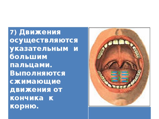 7) Движения осуществляются указательным и большим пальцами. Выполняются сжимающие движения от кончика к корню.   