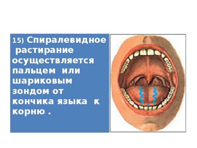 15) Спиралевидное растирание осуществляется пальцем или шариковым зондом от кончика языка к корню .   