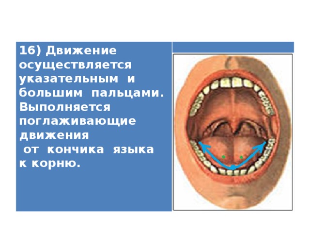 16) Движение осуществляется указательным и большим пальцами. Выполняется поглаживающие движения  от кончика языка к корню.    