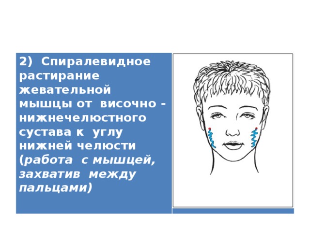 2) Спиралевидное растирание жевательной мышцы от височно - нижнечелюстного сустава к углу нижней челюсти ( работа с мышцей, захватив между пальцами)   