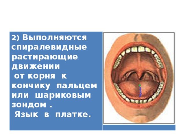 2) Выполняются спиралевидные растирающие движении  от корня к кончику пальцем или шариковым зондом .  Язык в платке.   
