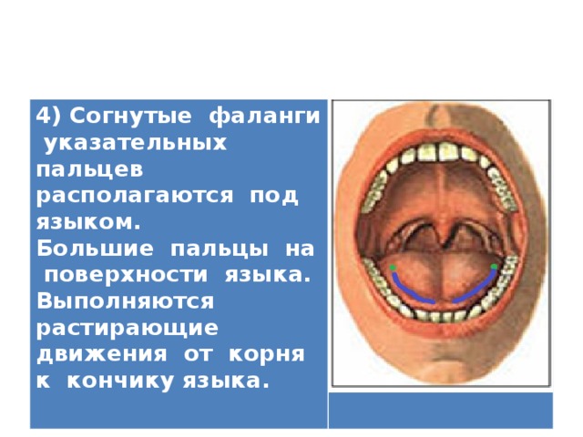4) Согнутые фаланги указательных пальцев располагаются под языком. Большие пальцы на поверхности языка. Выполняются растирающие движения от корня к кончику языка.   