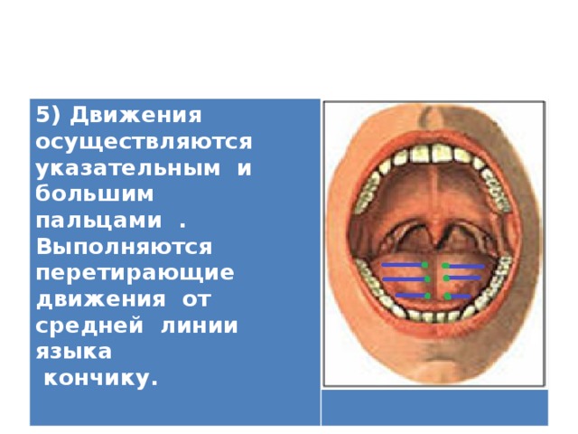 5) Движения осуществляются указательным и большим пальцами . Выполняются перетирающие движения от средней линии языка  кончику.   