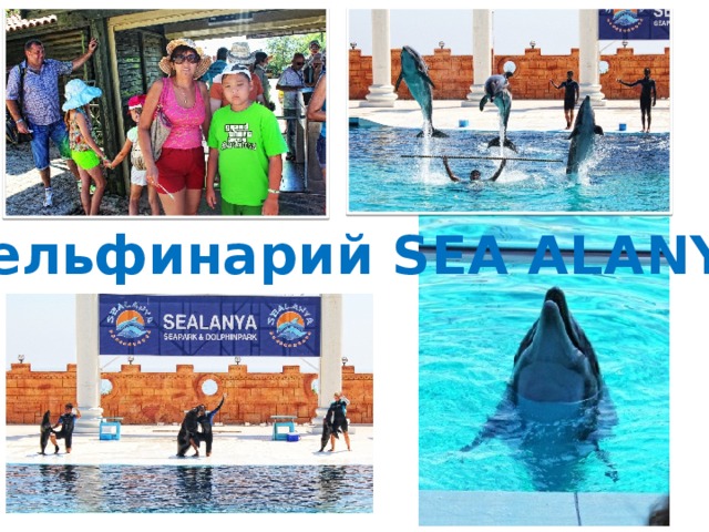 Дельфинарий SEA ALANYA 