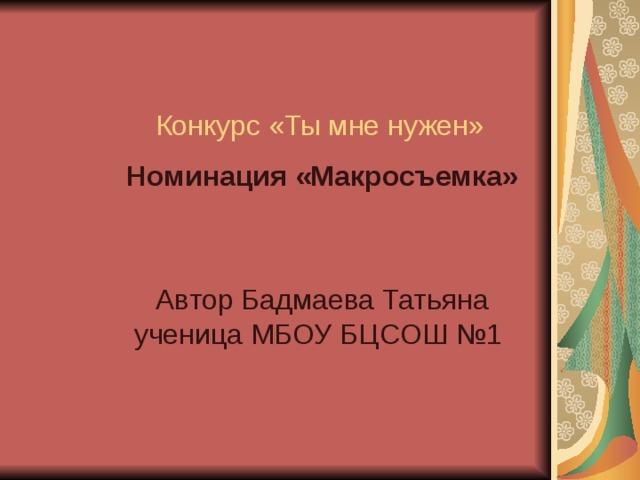 Конкурс «Ты мне нужен» Номинация «Макросъемка» 