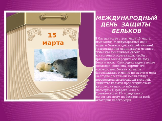 Международный день  защиты  бельков 15 марта В большинстве стран мира 15 марта отмечается Международный день защиты бельков - детёнышей тюленей. На протяжении одиннадцати месяцев тюлениха вынашивает своего единственного детеныша, чтобы с приходом весны родить его на льду Белого моря.  Около двух недель после рождения, пока она  кормит его молоком, мех белька остается белоснежным. Именно из-за этого меха ежегодно десятками тысяч гибнут новорожденные детеныши тюленей.  Убийство бельков происходит очень жестоко, их просто забивают  насмерть. В феврале 2009 г. Правительство РФ официально запретило охоту на бельков на всей акватории Белого моря. 