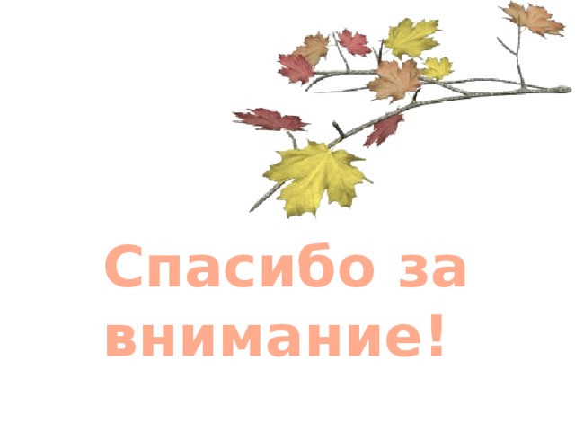 Спасибо за внимание! 