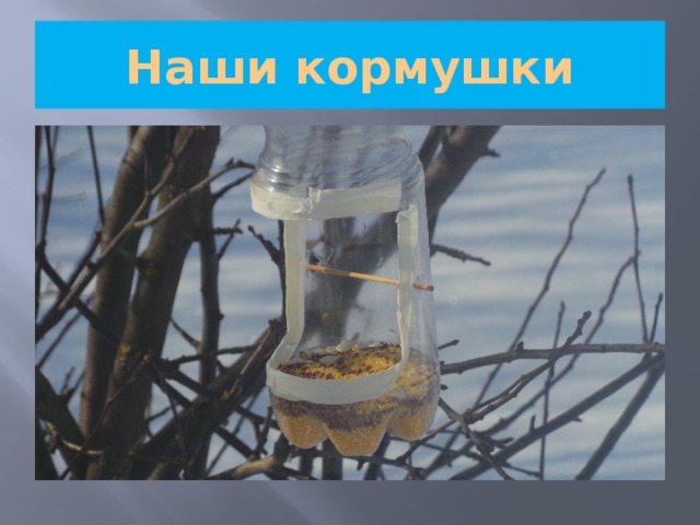 Наши кормушки 