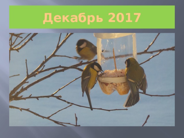 Декабрь 2017 
