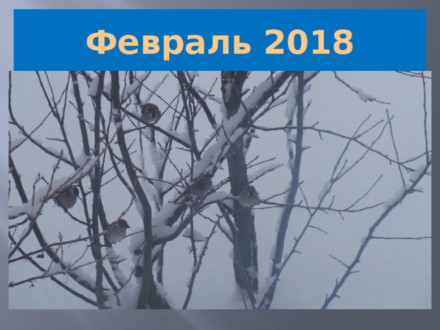 Февраль 2018 