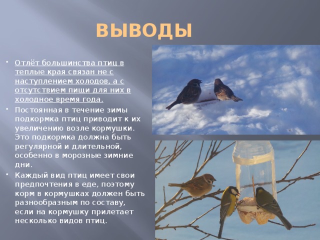 ВЫВОДЫ Отлёт большинства птиц в теплые края связан не с наступлением холодов, а с отсутствием пищи для них в холодное время года. Постоянная в течение зимы подкормка птиц приводит к их увеличению возле кормушки. Это подкормка должна быть регулярной и длительной, особенно в морозные зимние дни. Каждый вид птиц имеет свои предпочтения в еде, поэтому корм в кормушках должен быть разнообразным по составу, если на кормушку прилетает несколько видов птиц. 