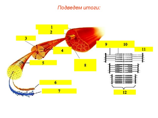 Подведем итоги:  