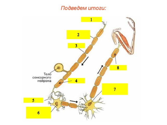 Подведем итоги:  