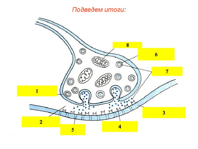 Подведем итоги:  