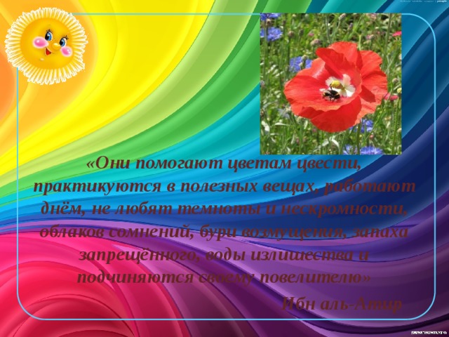 «Они помогают цветам цвести, практикуются в полезных вещах, работают днём, не любят темноты и нескромности, облаков сомнений, бури возмущения, запаха запрещённого, воды излишества и подчиняются своему повелителю»  Ибн аль-Атир 